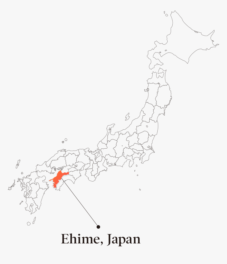 Ehime Map - 令 制 国 地図, HD Png Download