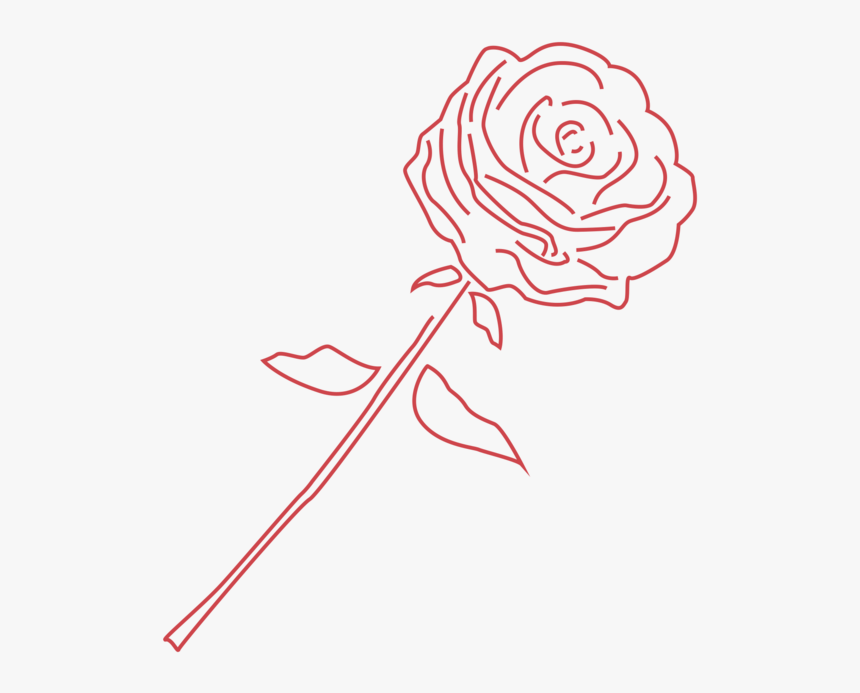 Rose - Garden Roses, HD Png Download