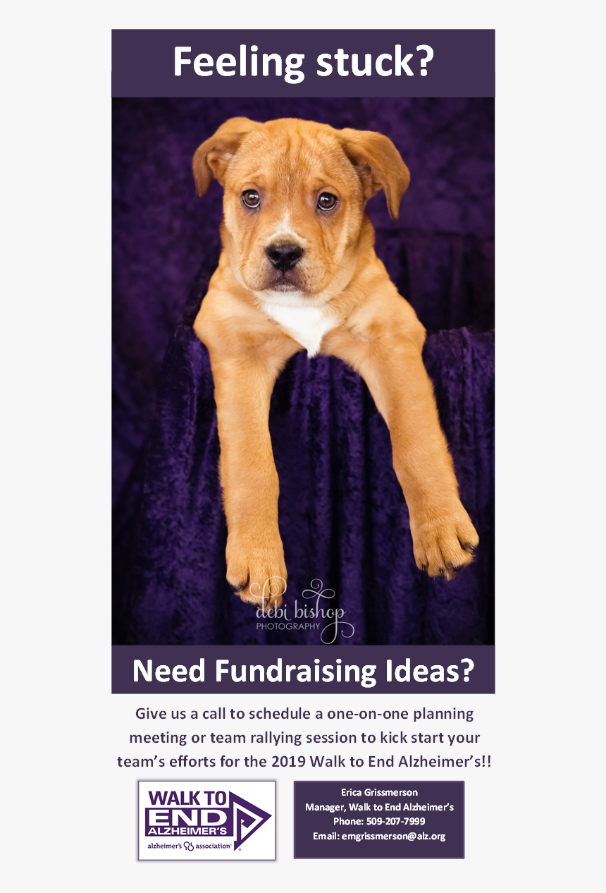 Walk To End Alzheimer's 2011, HD Png Download