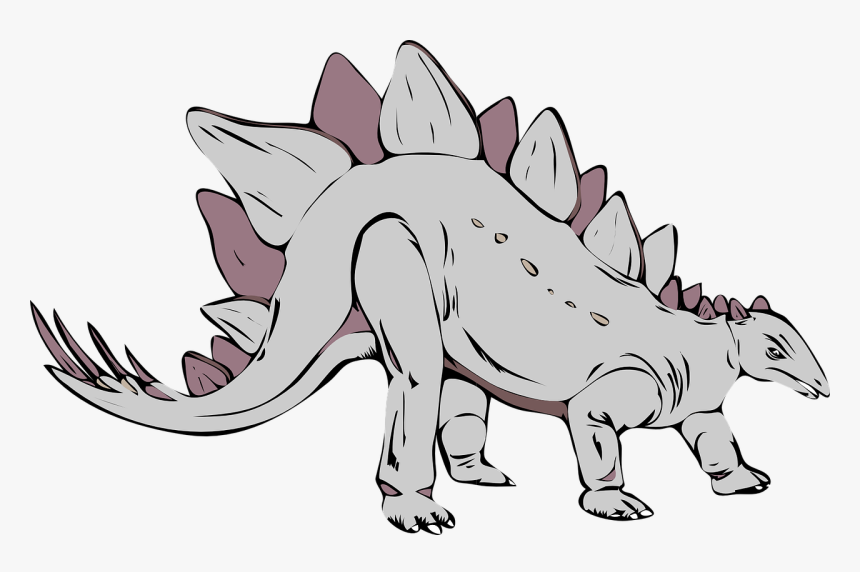 Gray Stegosaurus, HD Png Download