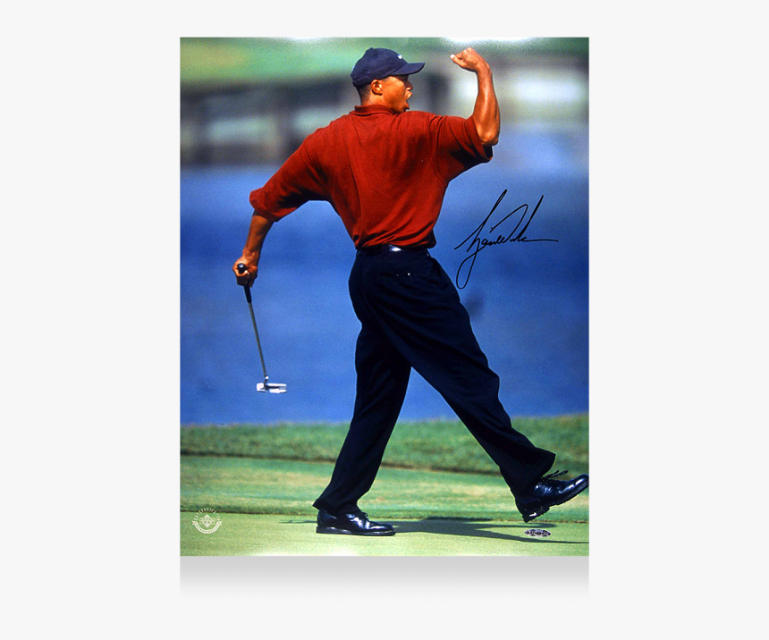 Famous Tiger Woods Fist Pump Poster, HD Png Download