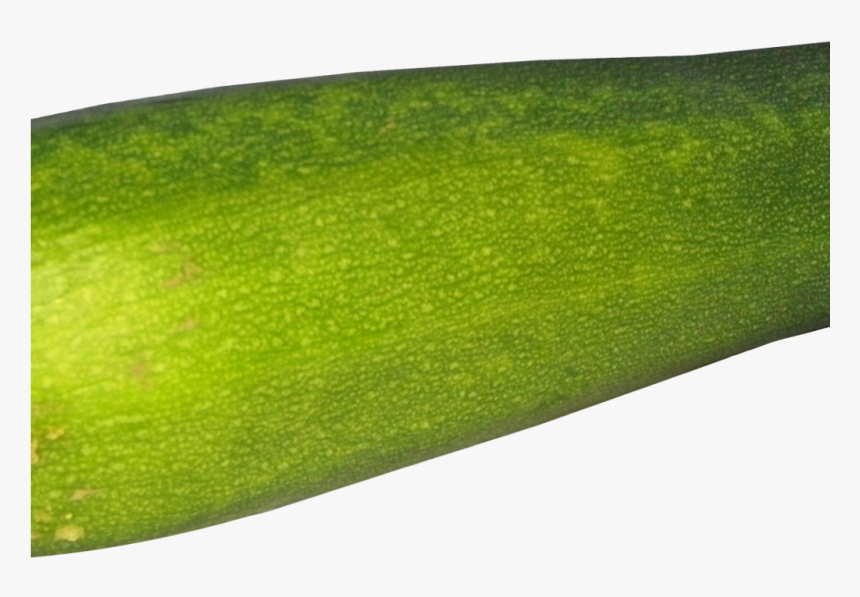 Zucchini Png Image1 - Gourd, Transparent Png