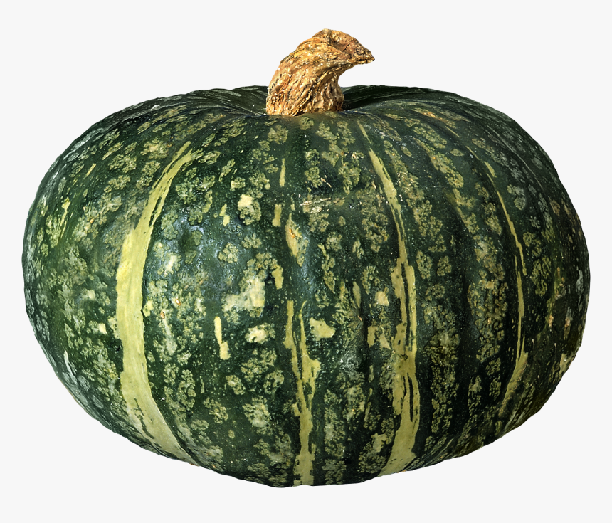 Pumpkin Png Image - Green Pumpkin Png, Transparent Png