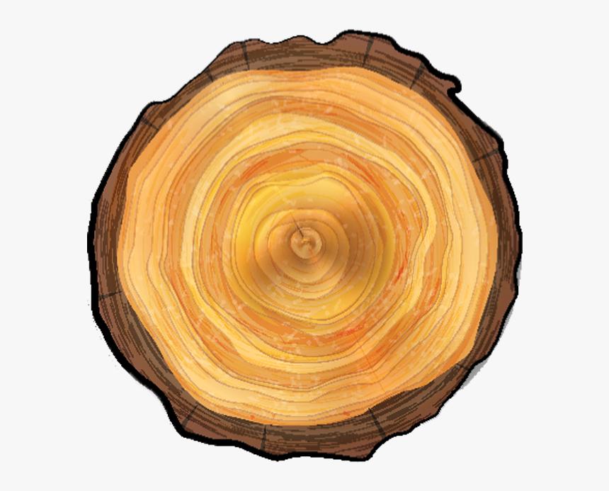 Wood Circular Texture Transparent, HD Png Download