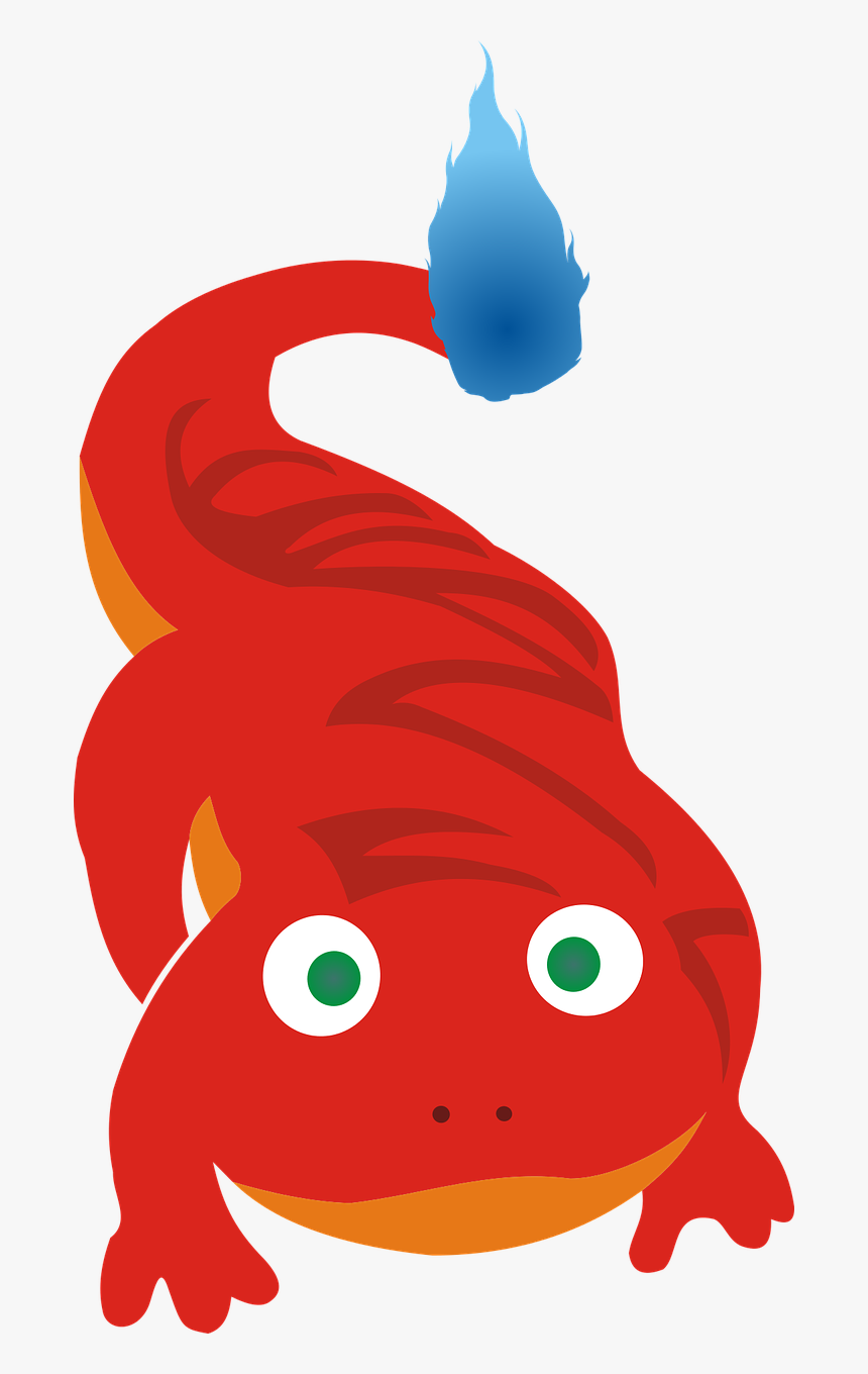 Salamander The Lizard Amphibian Free Photo - Amphibians, HD Png Download