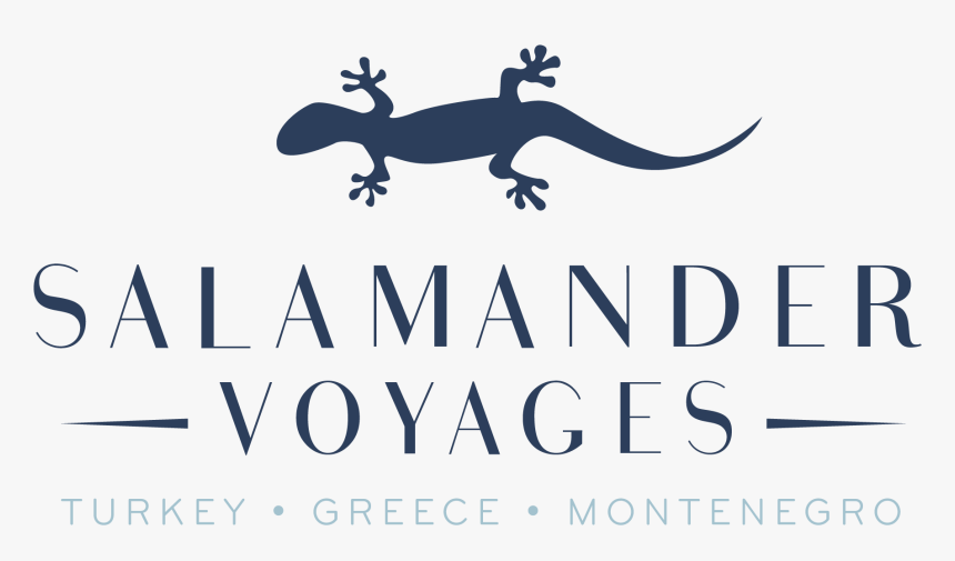 Lizard, HD Png Download