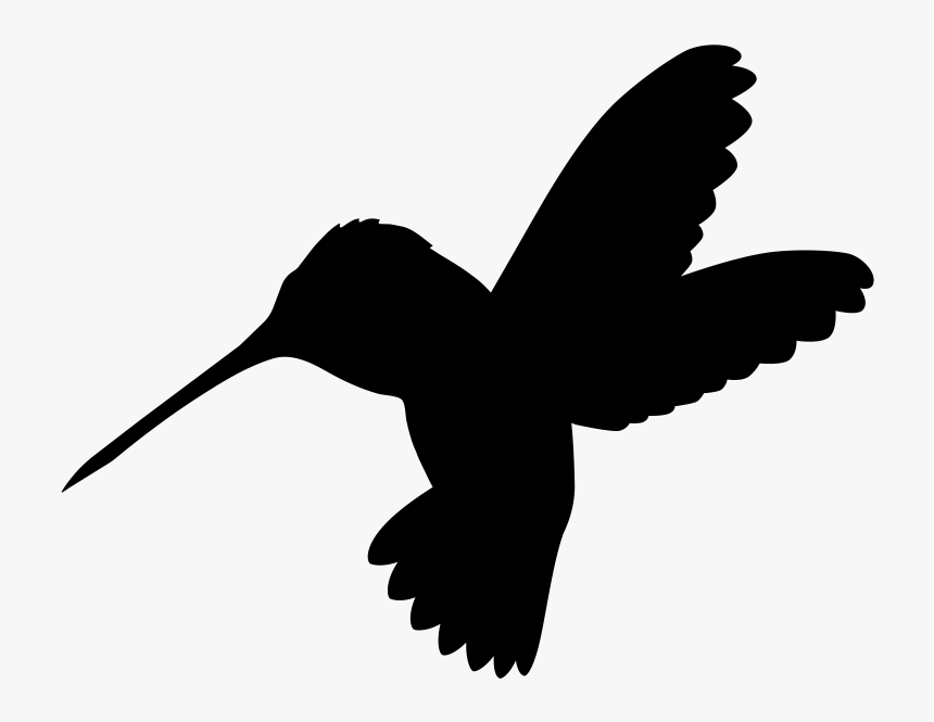 Hummingbird Care Home Just Hummingbird Logo - Pigeons And Doves, HD Png Download