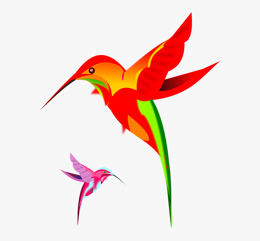 Hummingbird Art Png Clipart - Rufous Hummingbird, Transparent Png