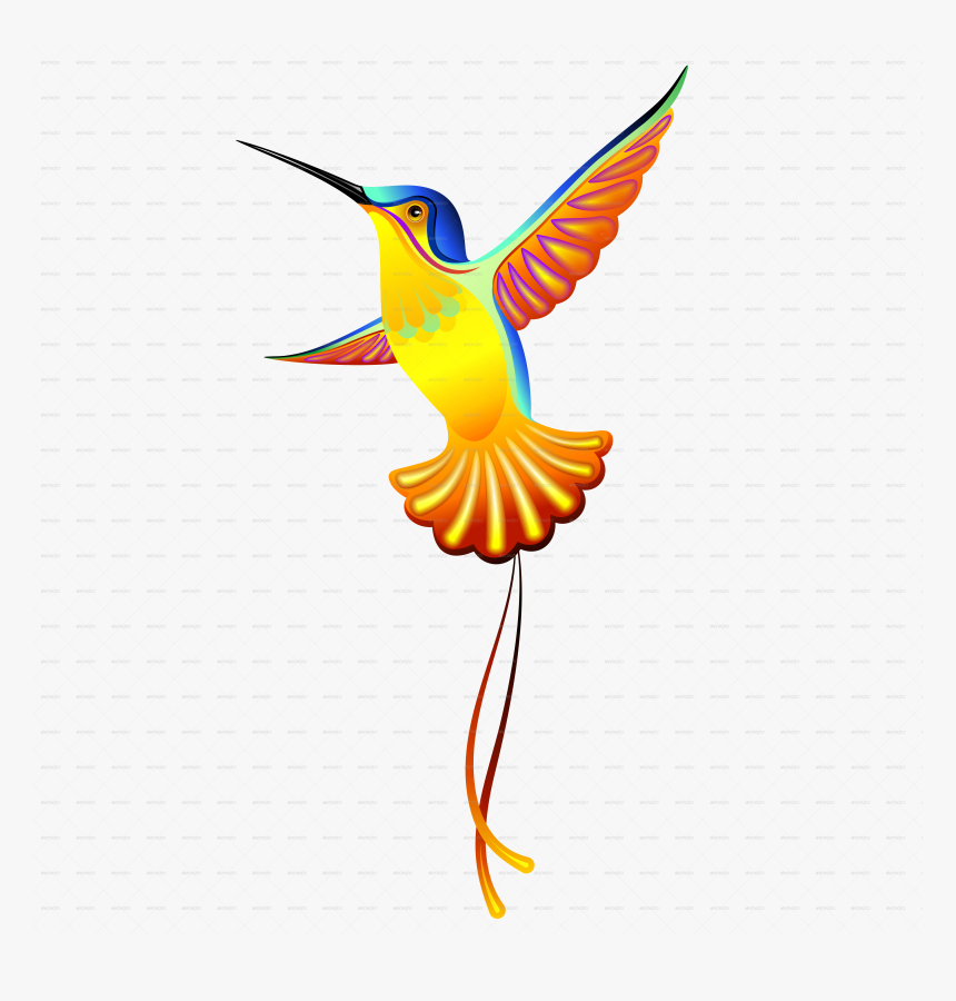 Humming Bird Png, Transparent Png