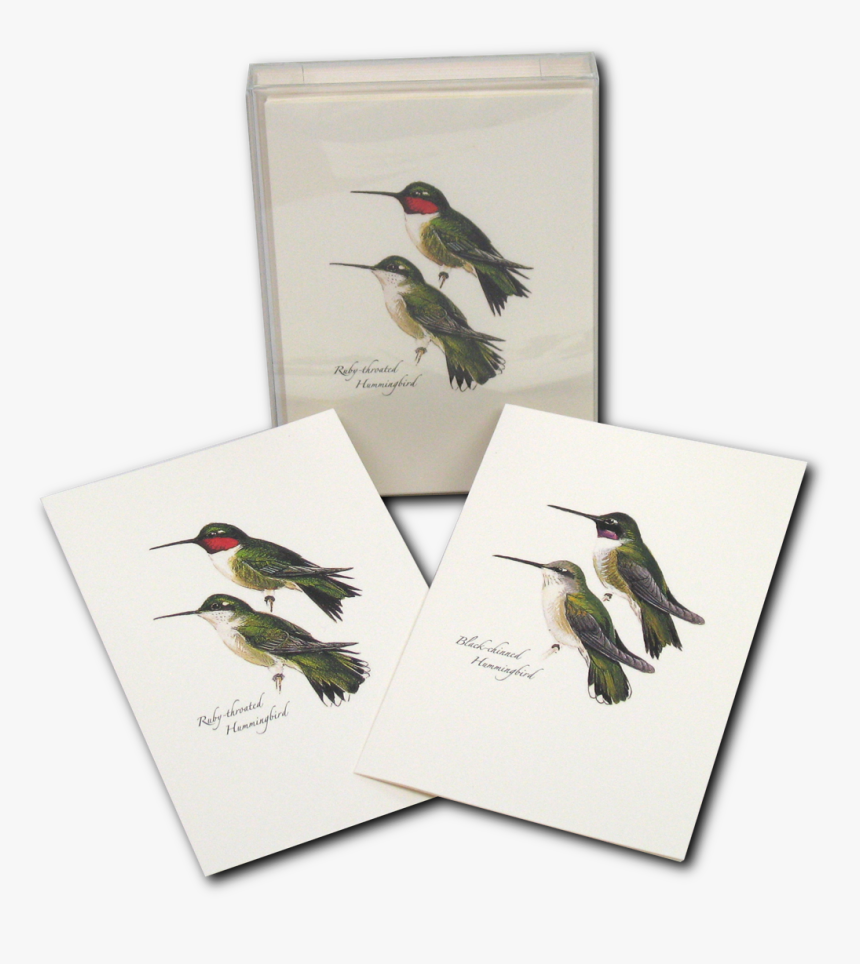 Ruby-throated Hummingbird, HD Png Download