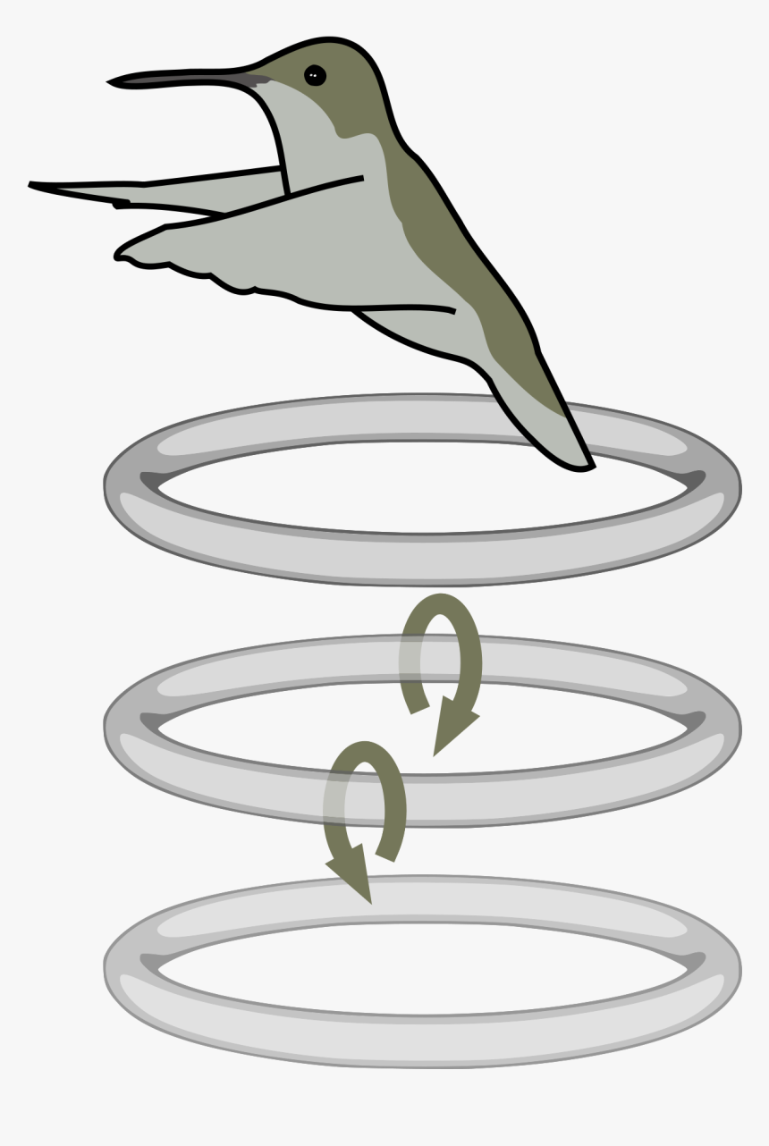 Hummingbird Wing Vortices, HD Png Download