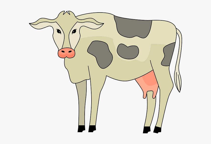 Dairy Cow, HD Png Download