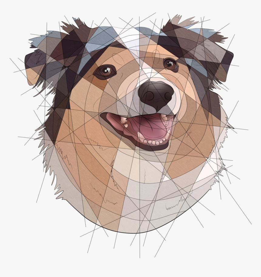 @junojots Won One Of The Buy One Get One Slots Here - Shetland Sheepdog, HD Png Download
