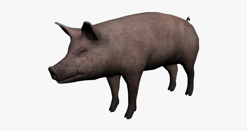 Red Dead Wiki - Png Cerdo, Transparent Png