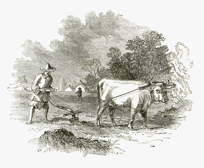Tttc Vol I 098 Tartar Agriculturalist - Pre Industrial Society Drawing, HD Png Download