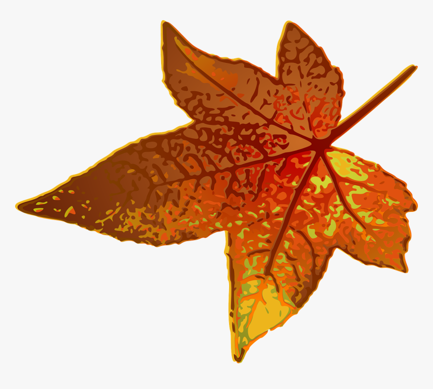 Maple Leaf Clip Art, HD Png Download