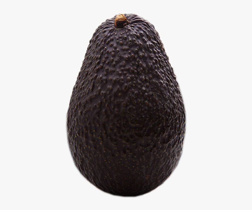 Avocado, HD Png Download