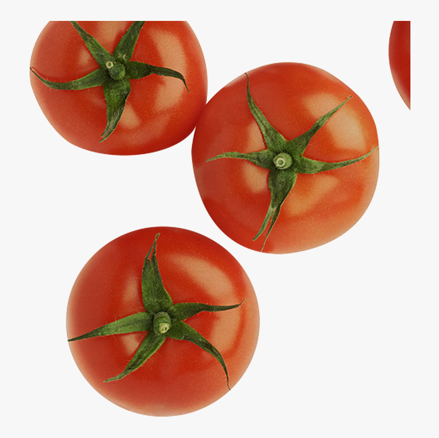 Tomates Desde Arriba Png, Hd Png Download - Cosecha De Tomate En Puerto Rico, Transparent Png