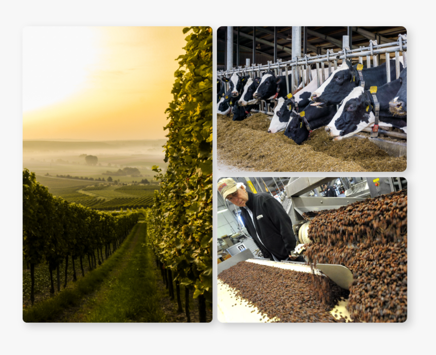 Verticals We Support - Wine, HD Png Download