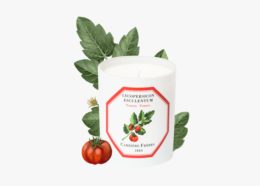Tomato - Carriere Freres Tomato, HD Png Download