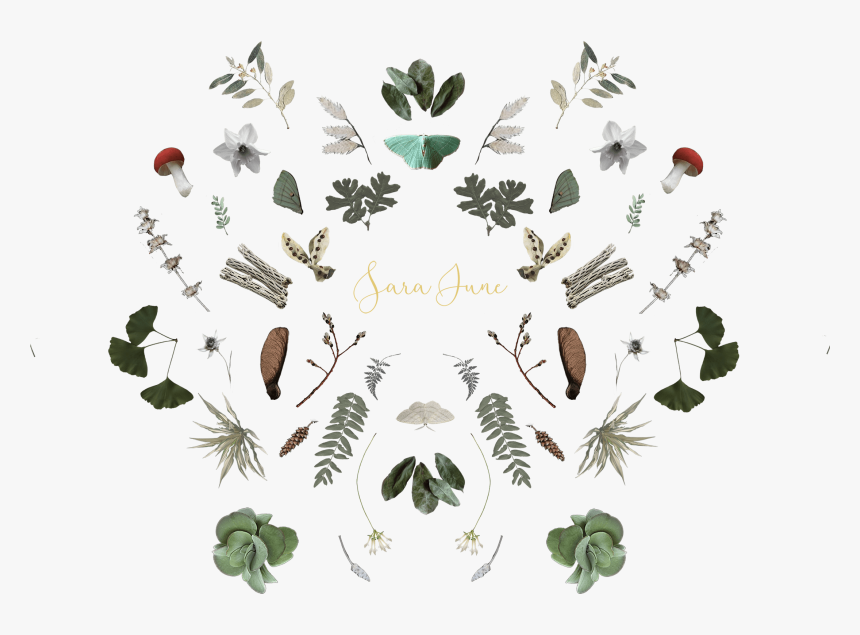 Illustration, HD Png Download