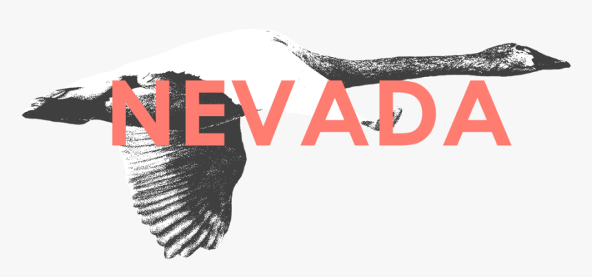Nevada - Golden Eagle, HD Png Download