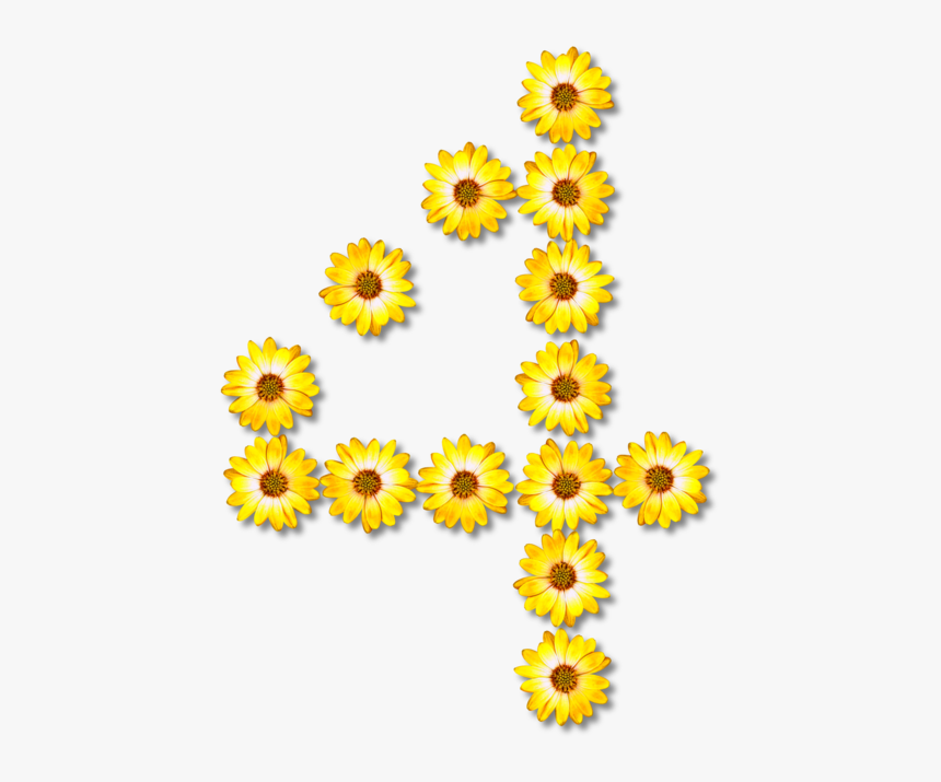 Sunflower Seed,plant,flower - Bunga Huruf, HD Png Download
