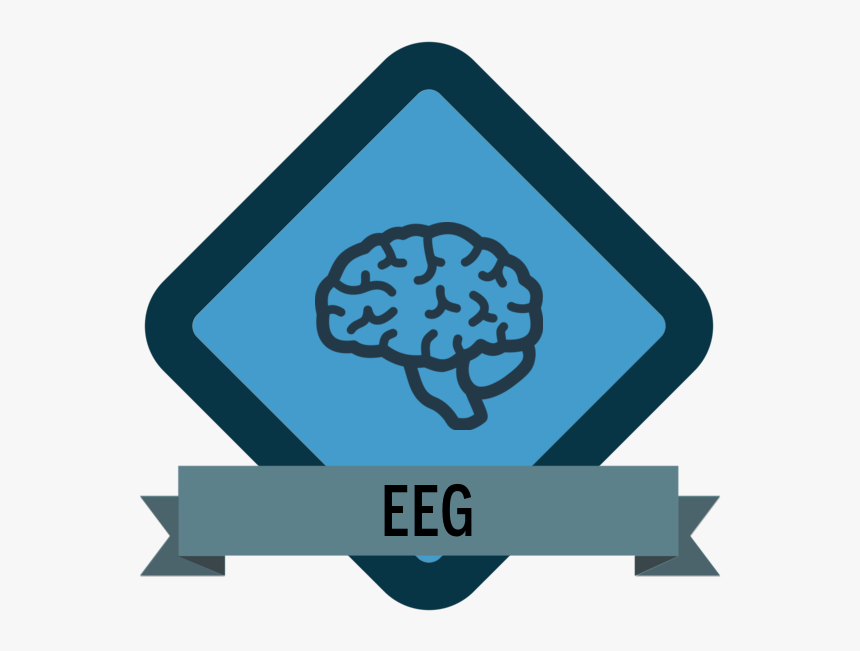 Badge Icon Brain - Brain Icon Transparent Png, Png Download