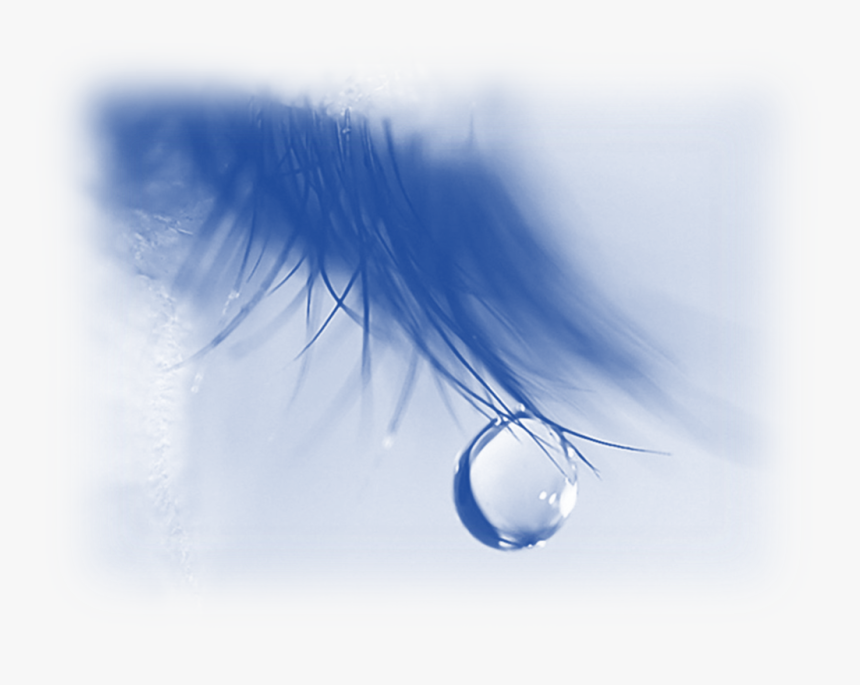 Tear Drop On Eye Lash - Love Love Pain Alone, HD Png Download
