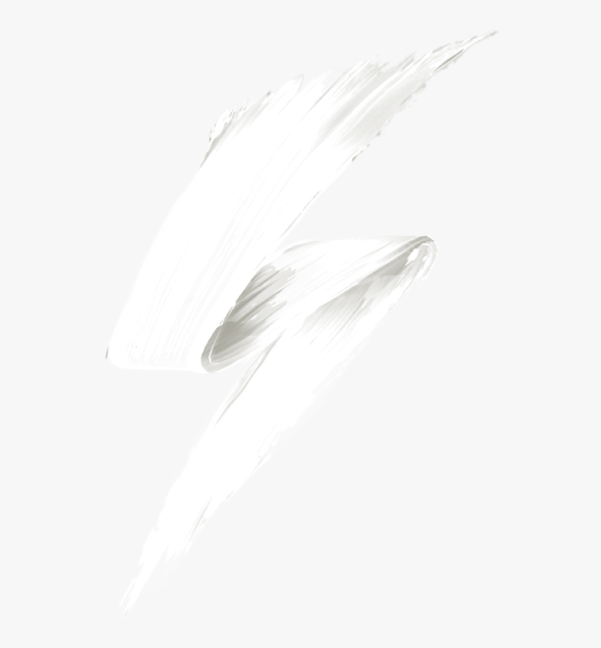 Seabird, HD Png Download