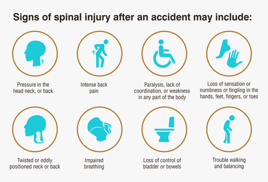 Sign Of Spinal Cord Injury After An Accident - Sign Of Spinal Injury, HD Png Download