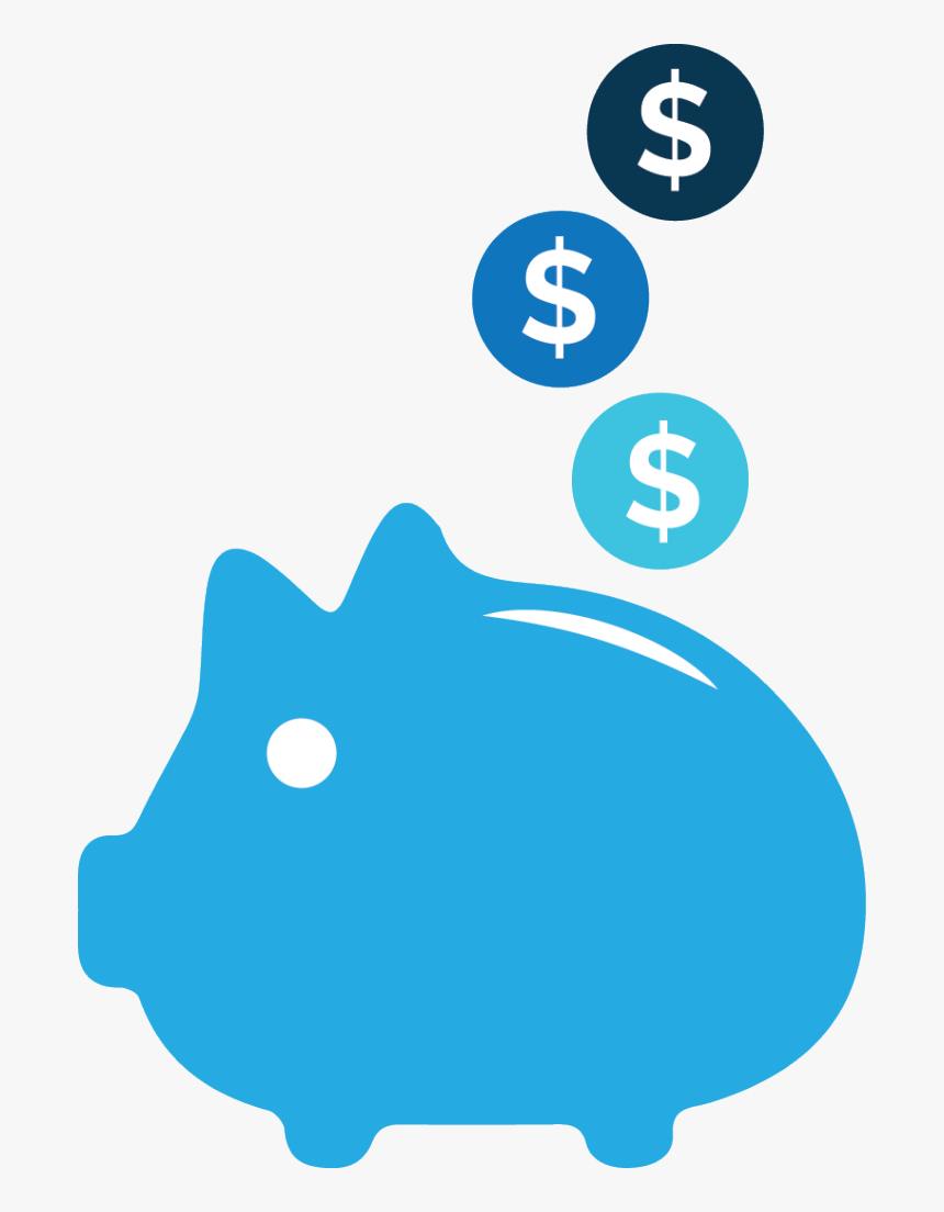 What Are The Costs Of Spinal Cord Injury, HD Png Download