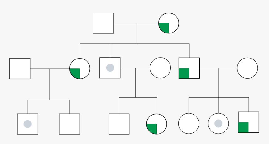 Genogram With Inheritance Of Diabetes - Circle, HD Png Download
