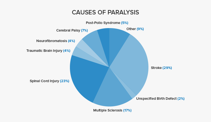 Leading Causes Of Paralysis, HD Png Download