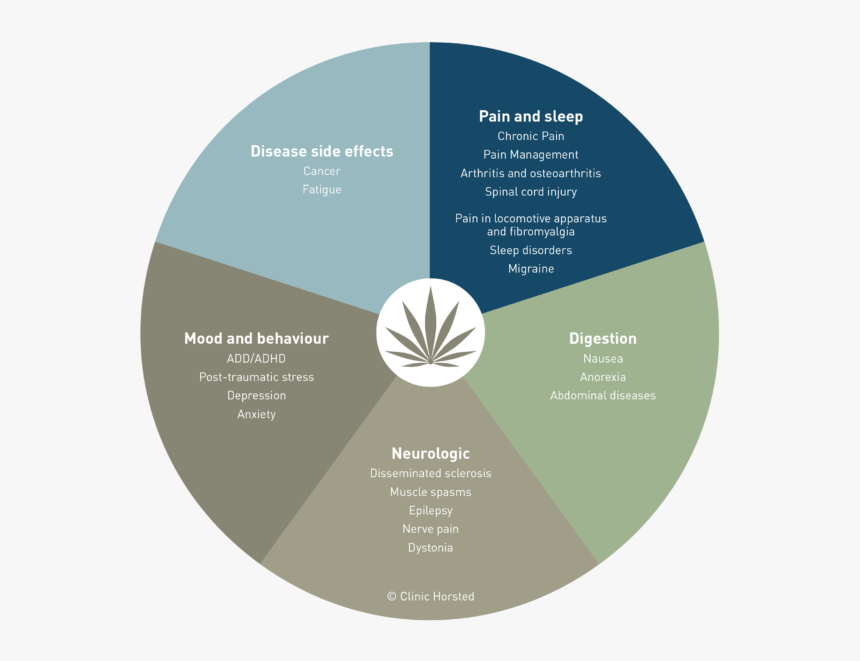 Circle, HD Png Download