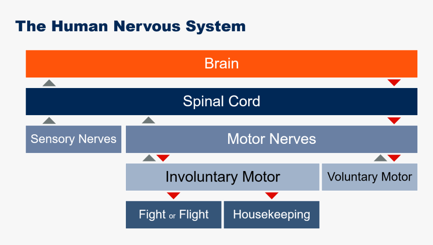 Screenshot, HD Png Download