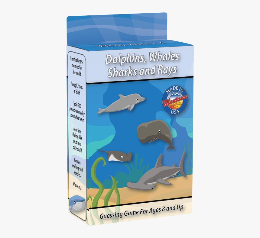 Sea Life Who Am I Travel Card Game, HD Png Download