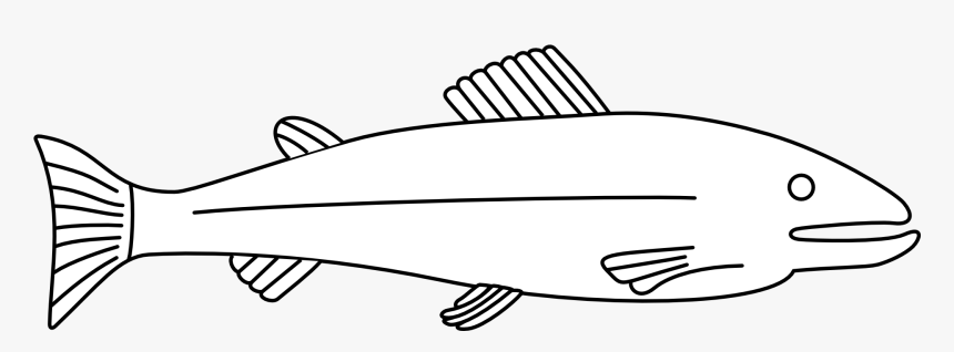Outline Of A Fish, HD Png Download