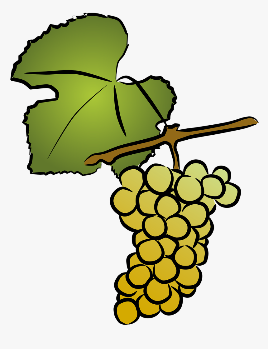 Clip Art, HD Png Download