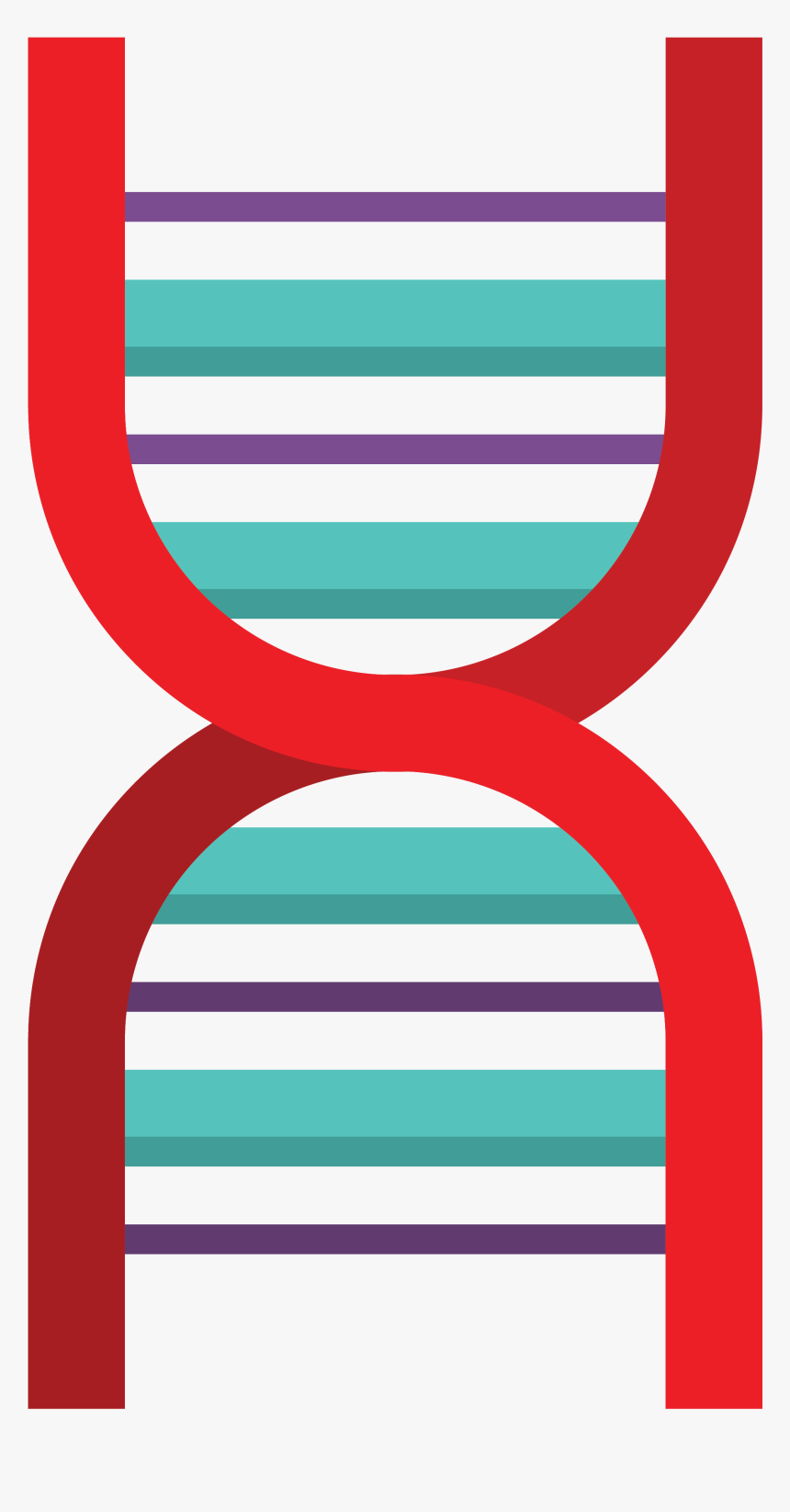 Graphic Design , Png Download - Carmine, Transparent Png