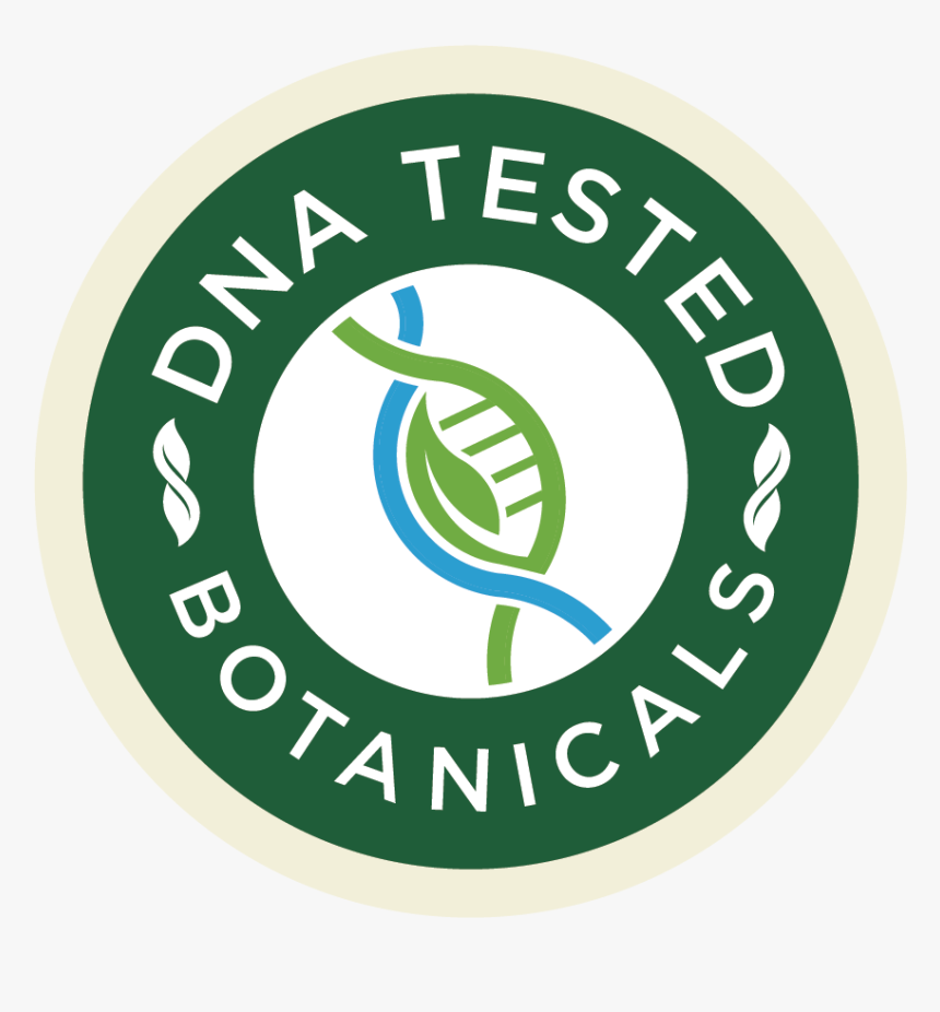 Ville De Saint Etienne, HD Png Download