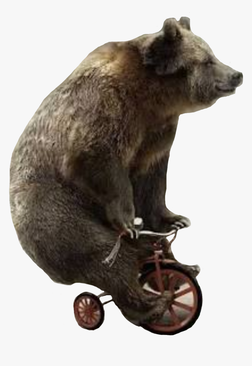 Bears On Unicycles
