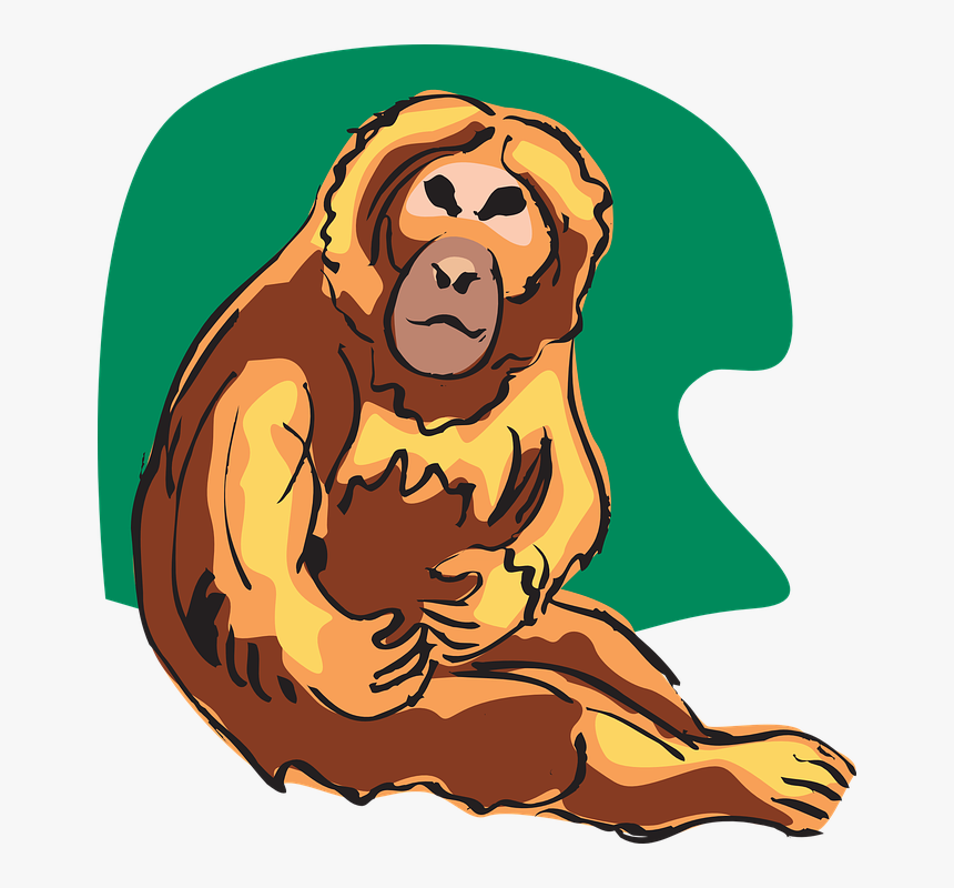 พื้น หลัง ลิง, HD Png Download