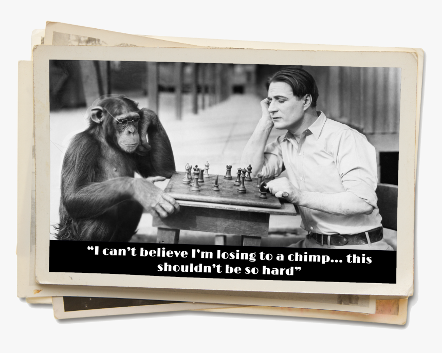 Human Vs Animal Chess, HD Png Download