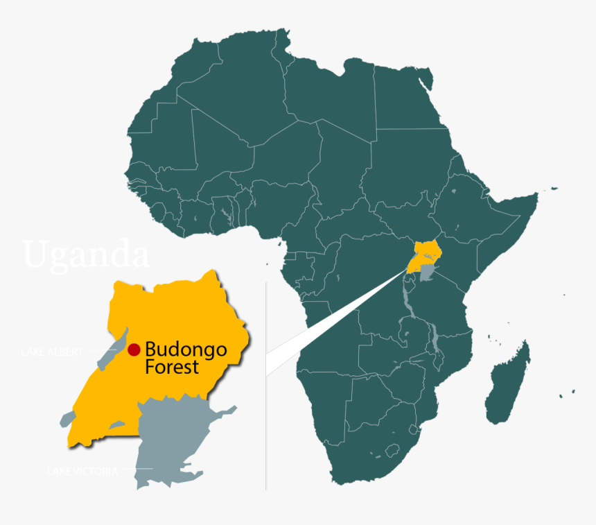 Africa Map Transparent Background Png, Png Download