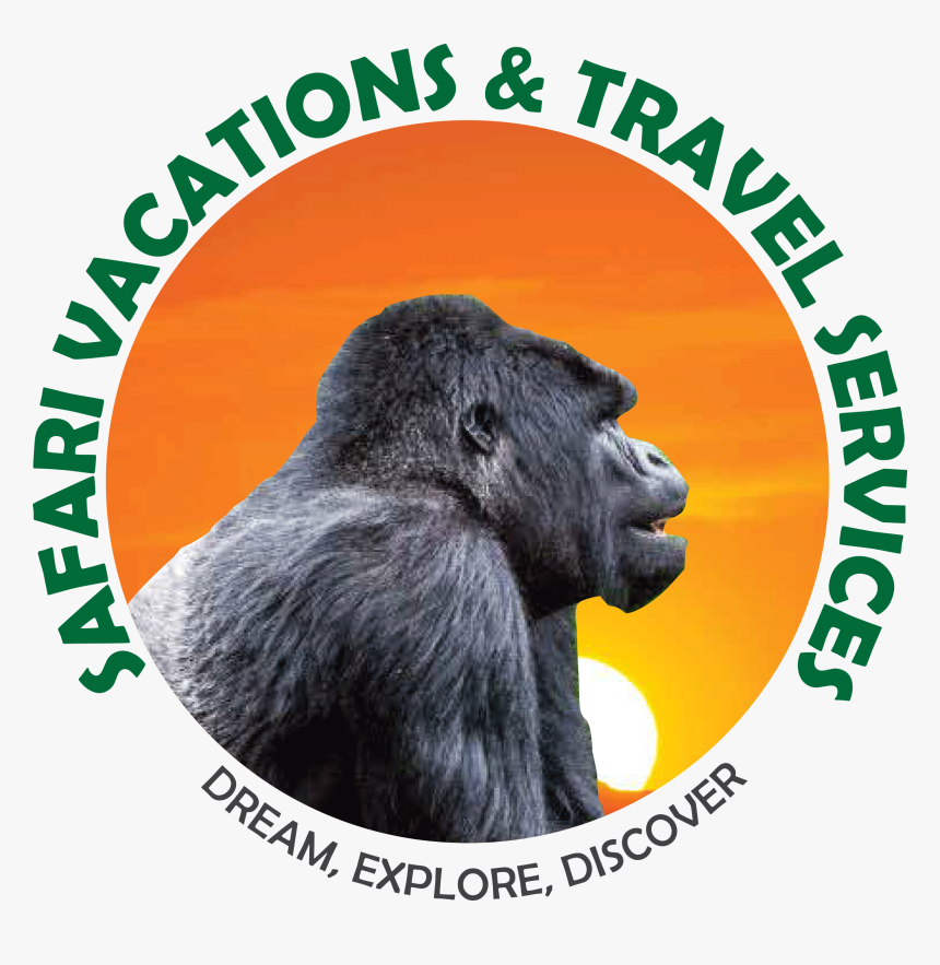 Safari Vacations & Travel Services - Ingenieria Mecatronica, HD Png Download