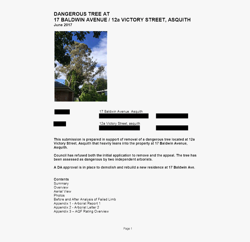 Tree , Png Download - Tree, Transparent Png