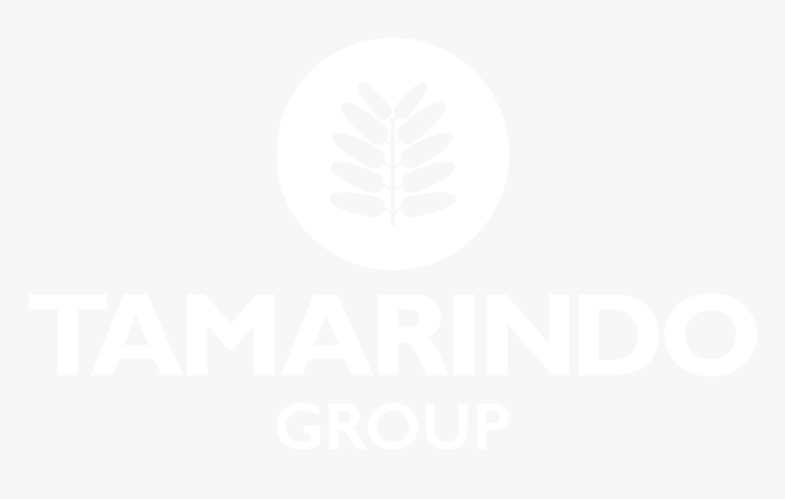 One Eight Nine Search Logo, HD Png Download