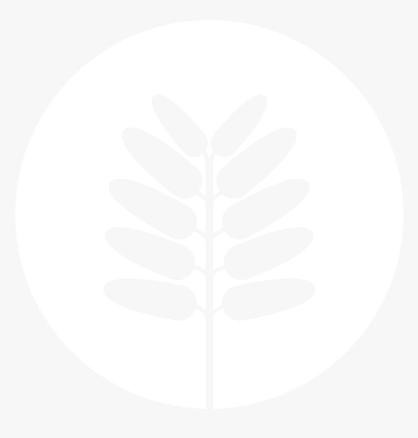 Tamarindo Communications, HD Png Download