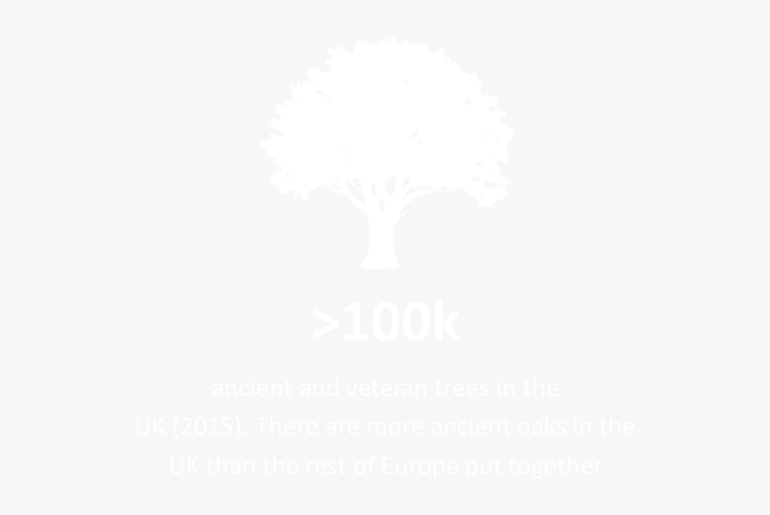 Icon 7 - Illustration, HD Png Download